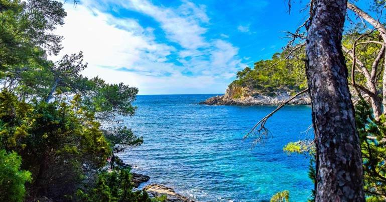 Les Galets De Sanary - Vue Mer Экстерьер фото